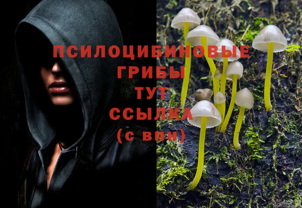 таблы Абинск
