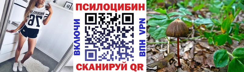 Галлюциногенные грибы ЛСД  дарнет шоп  Лесозаводск 